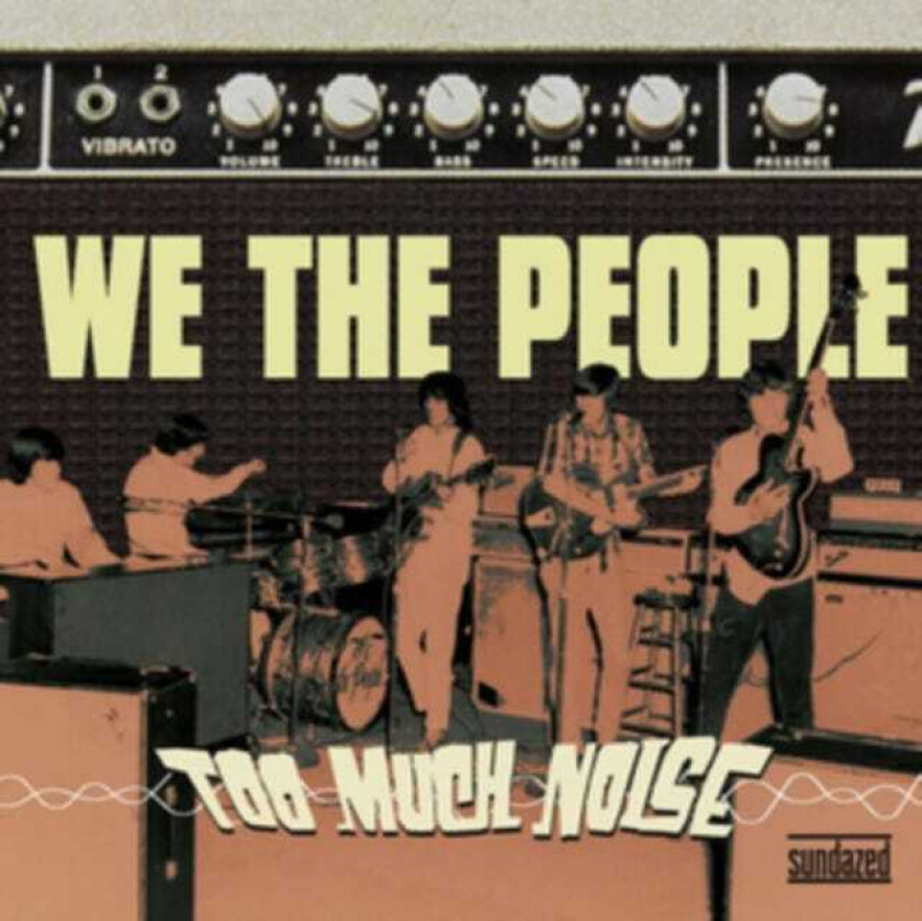 We The People  Too Much Noise  CD