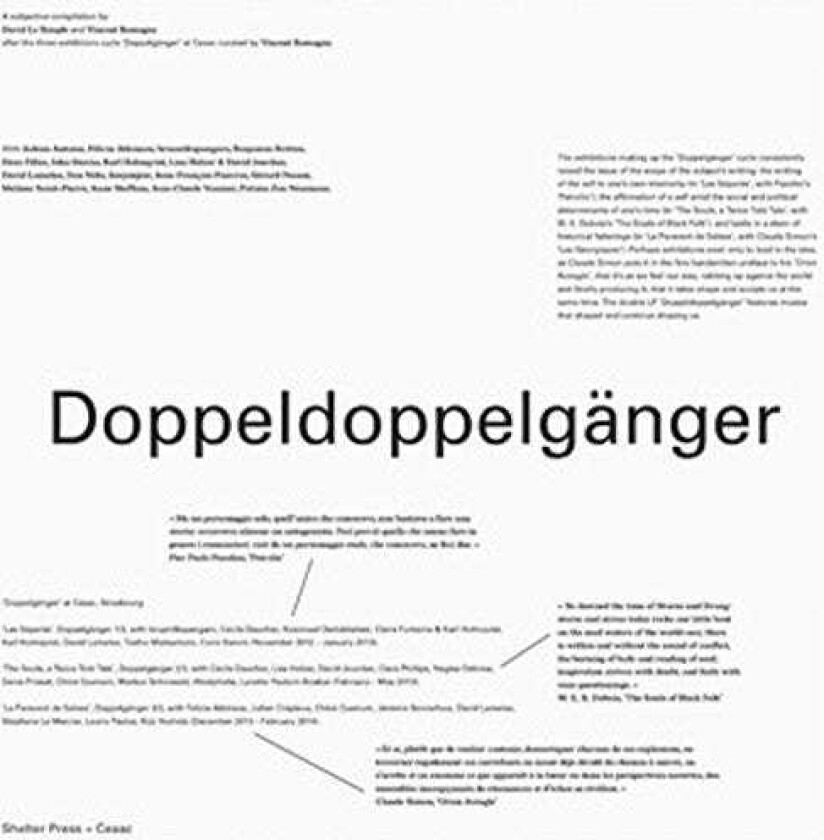 Diverse Electronica Doppeldoppelganger LP/Vinyl
