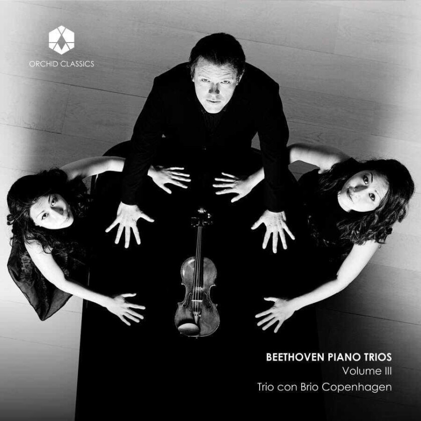 Trio Con Brio Copenhagen Beethoven: Piano Trios, Vol. 3 CD