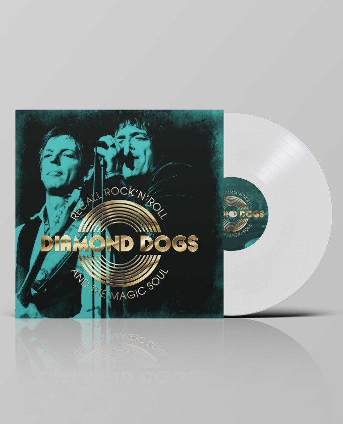 Diamond Dogs Recall Rock N Roll And The Magic Soul LP/Vinyl