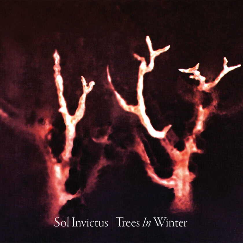 Sol Invictus Trees In Winter CD