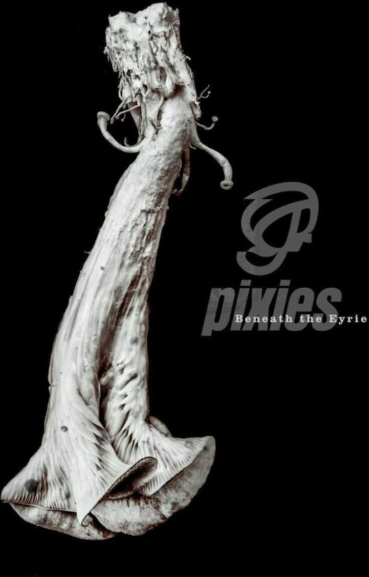 Pixies Beneath The Eyrie CD