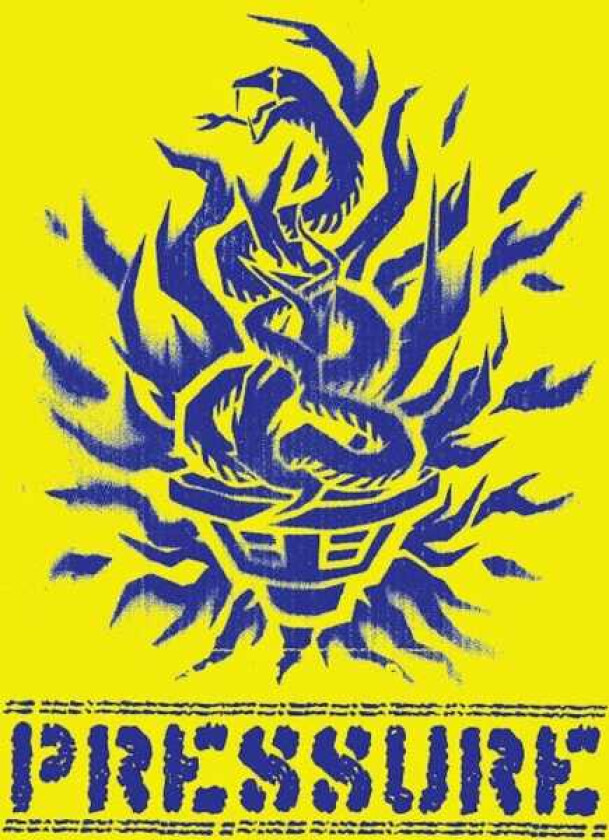 Mr. Mitch, The Bug Not Modular LP/Vinyl