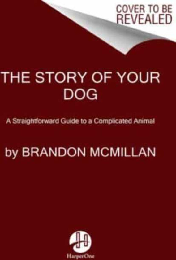 The Story of Your Dog From Renowned Expert Dog Trainer and Host ofLucky Dog: Reunions