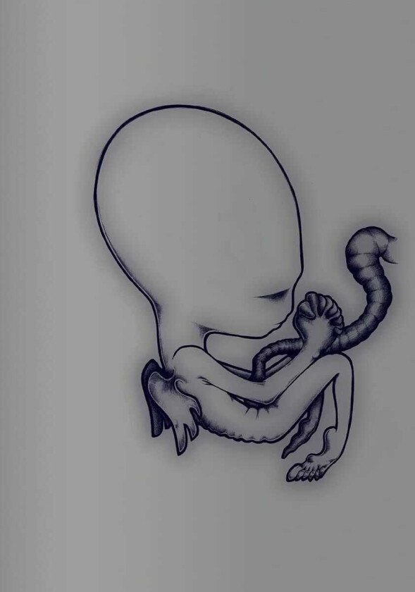 Sigur Rós  Ágætis Byrjun  A Good Beginning  CD