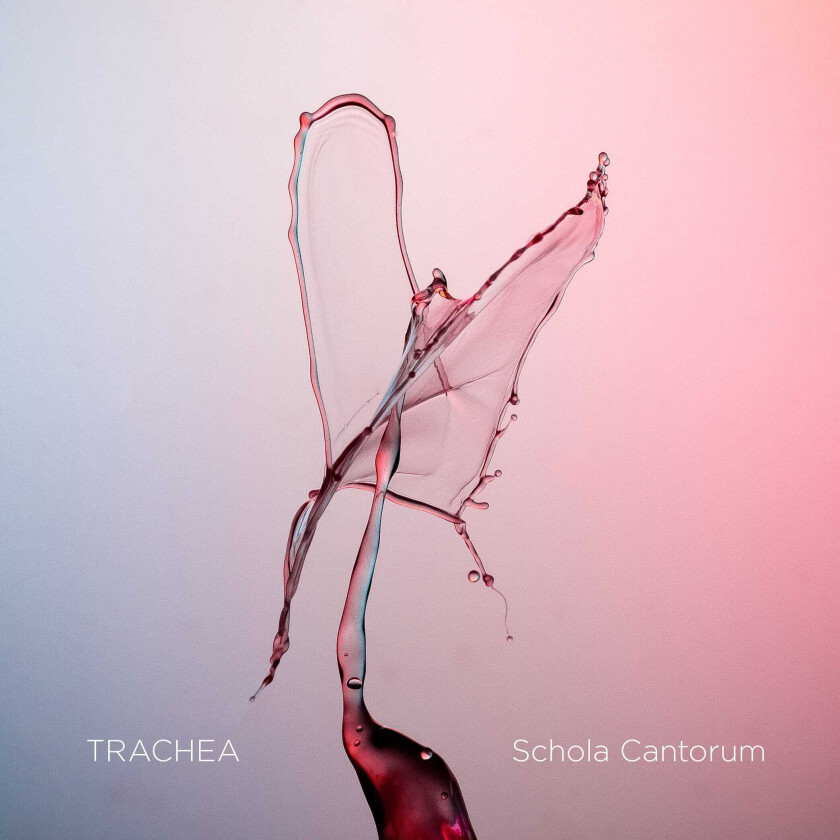 Schola Cantorum, Tone Bianca Sparre Dahl Schola Cantorum Trachea CD