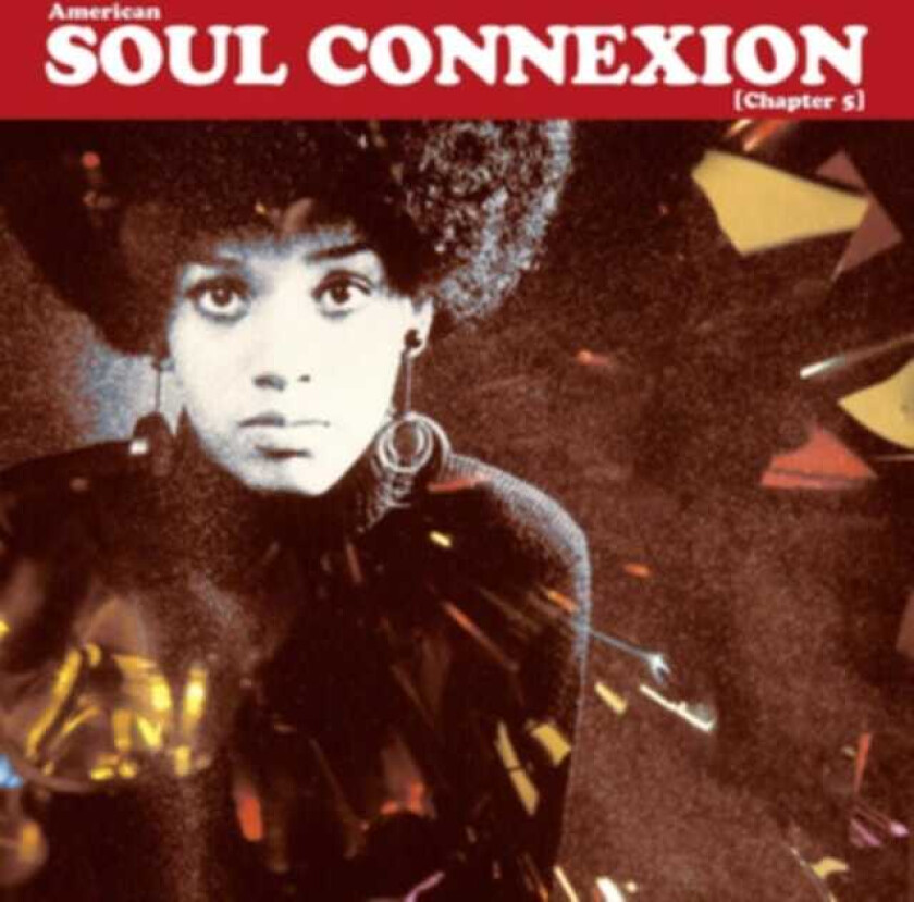 Diverse Soul  Soul Connexion  Chapter 5  LP/Vinyl