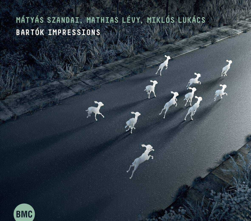 Matyas Szandai, Mathias Levy, Miklos Lukacs  Bartók Impressions  CD