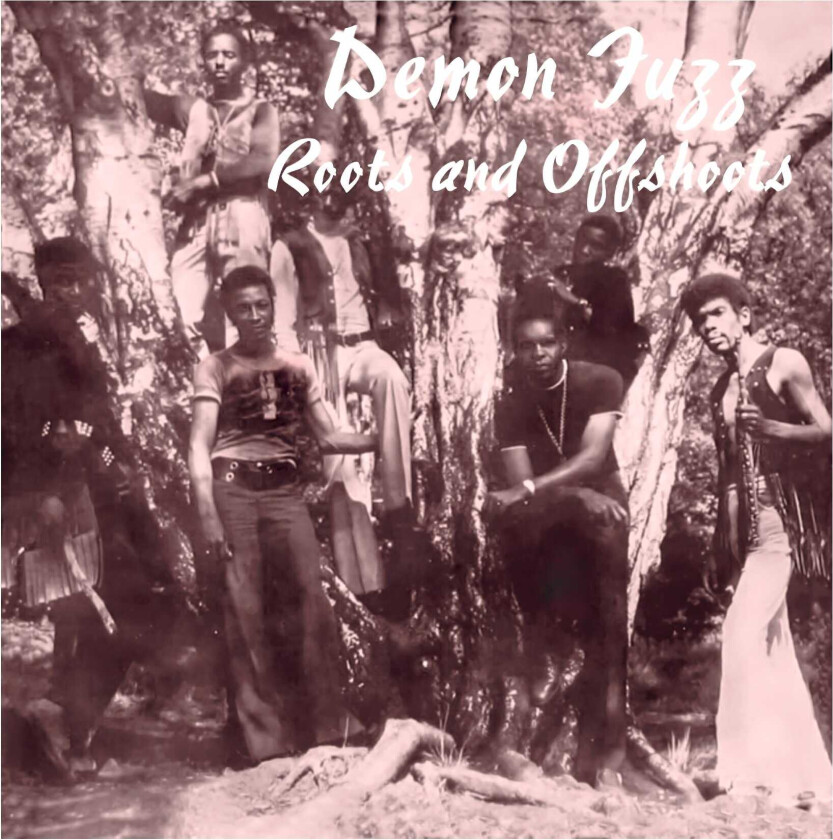 Demon Fuzz Roots And Offshoots LP/Vinyl