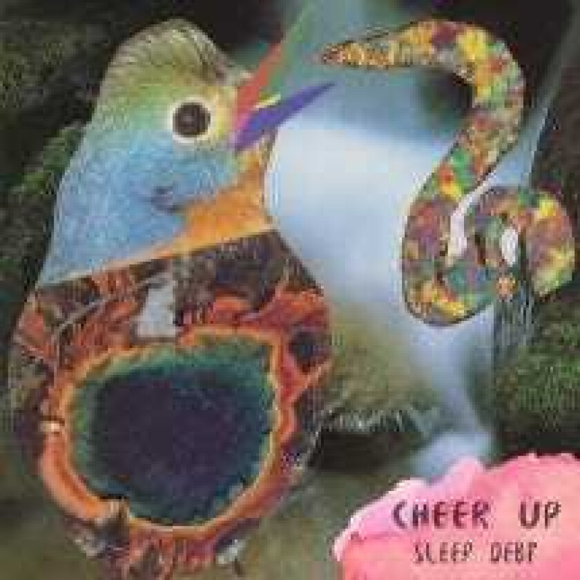 Cheer Up  Sleep Debt  CD