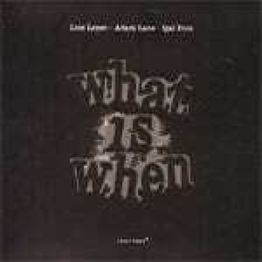 Luis Lopes, Adam Lane, Igal Foni  What Is When  CD