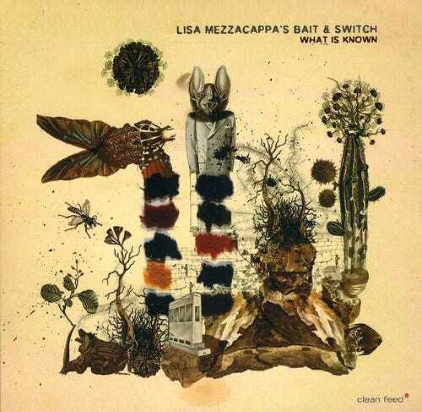 Lisa Mezzacappa's  Bait & Switch  What Is Known  CD