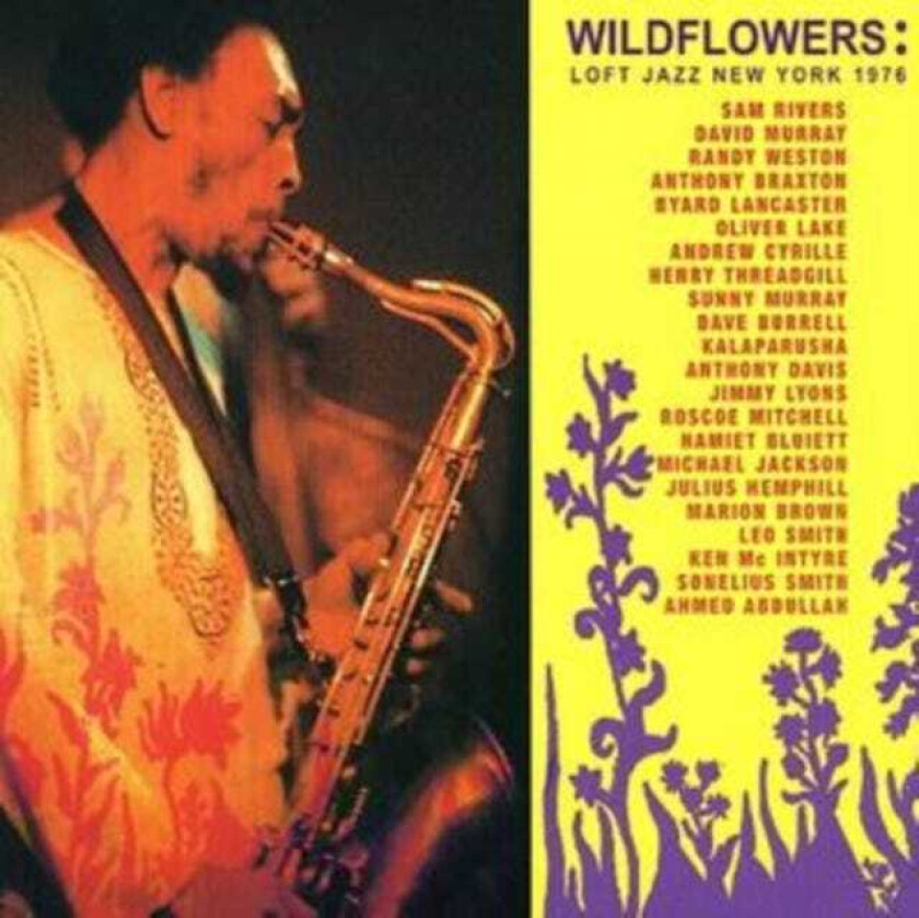 Diverse Jazz Wildflowers: Loft Jazz New York 1976 CD