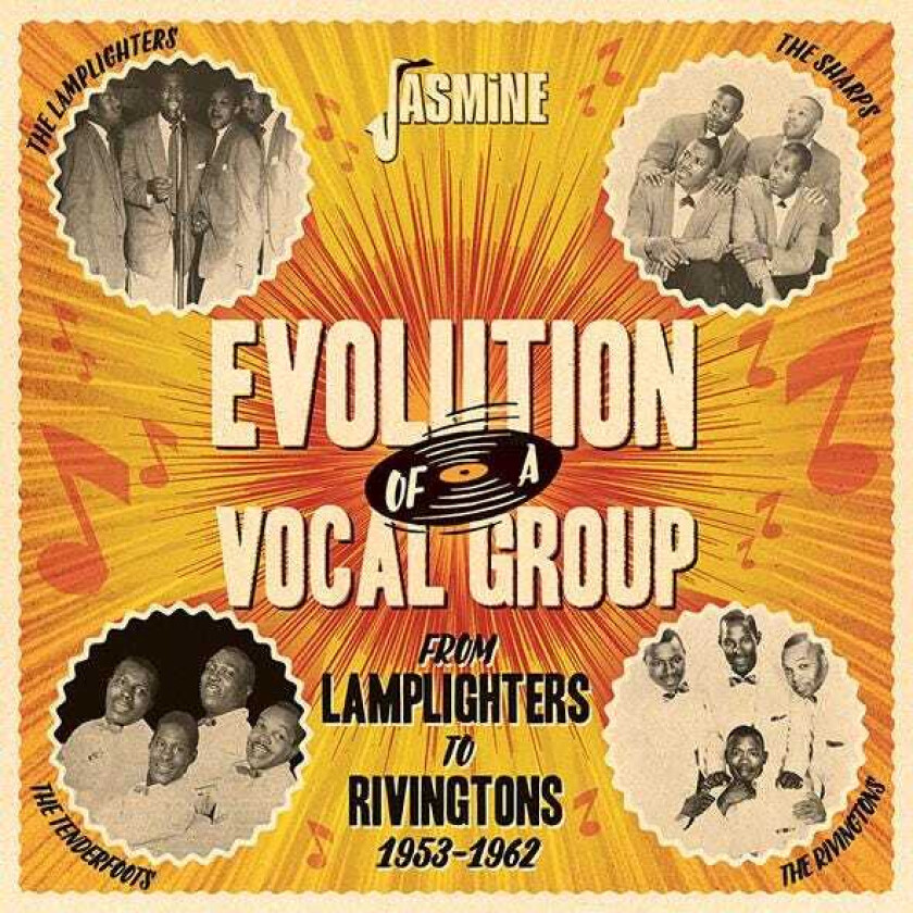 Diverse Artister, Diverse Soul Evolution Of A Vocal Group From The Lamplighters To The Rivingtons 195362 CD
