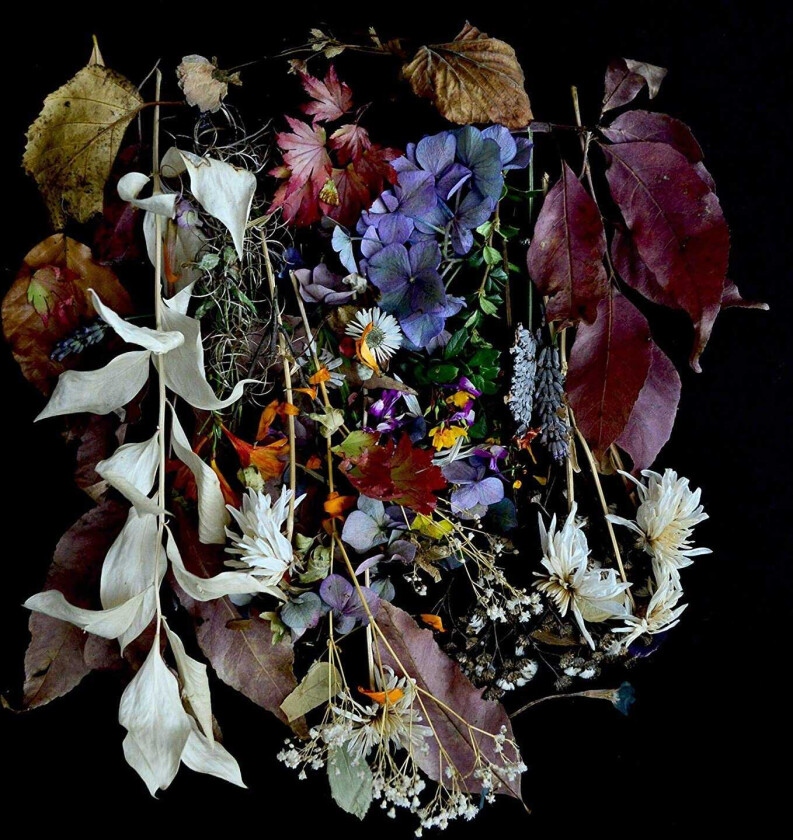 Paws Your Church On My Bonfire LP/Vinyl