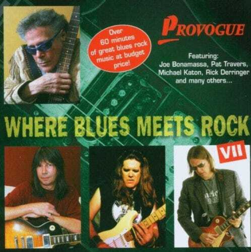 Diverse Blues Where Blues Meets Rock Vol. 7 CD