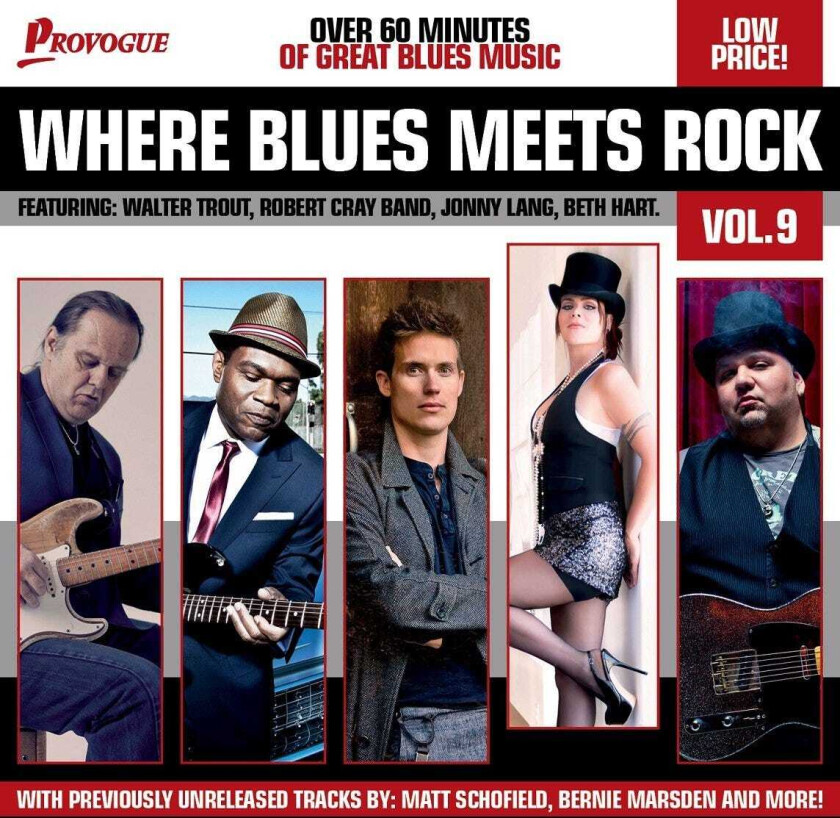 Diverse Blues Where Blues Meets Rock Vol. 9 CD