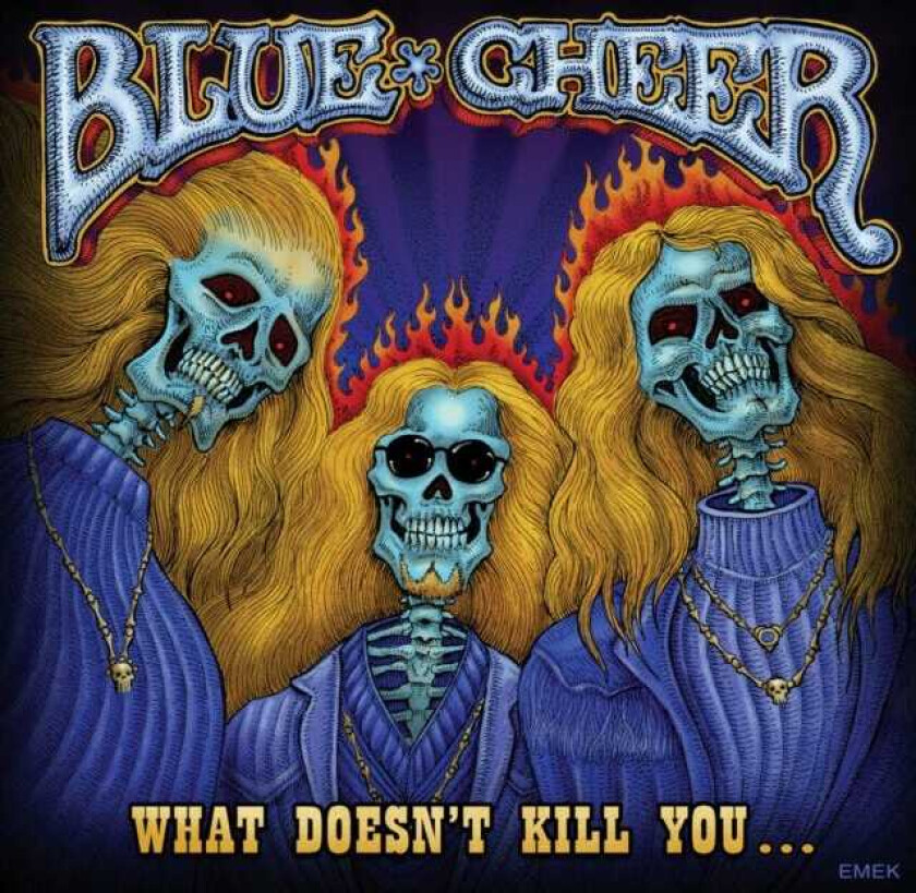 Blue Cheer  What Doesn't Kill You  CD