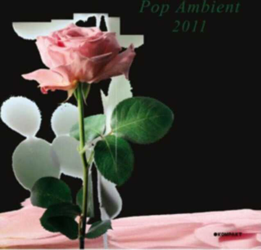 Diverse Electronica Pop Ambient 2011 CD