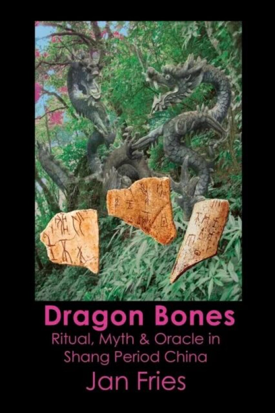 Dragon Bones av Jan Fries