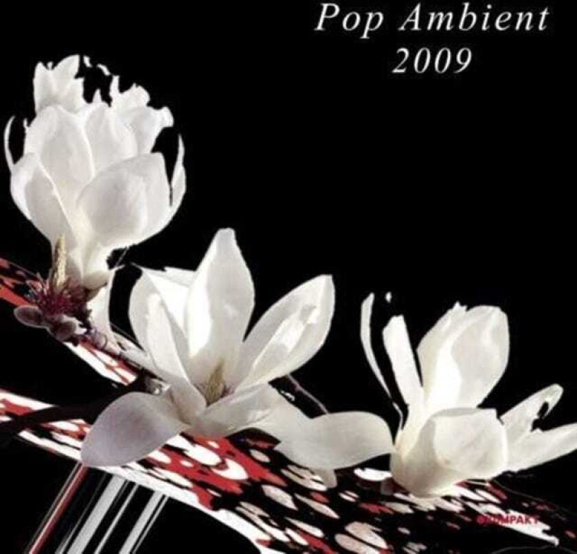 Diverse Electronica Pop Ambient 2009 CD
