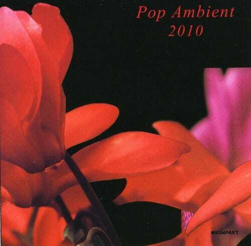 Diverse Electronica Pop Ambient 2010 CD