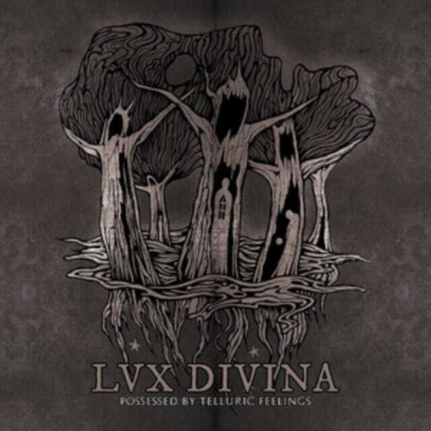Lux Divina Possessed By Telluric Feelings CD