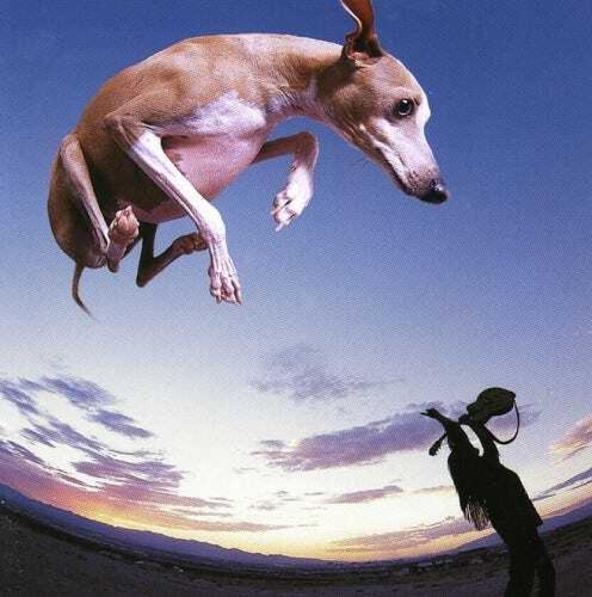 Paul Gilbert Flying Dog CD