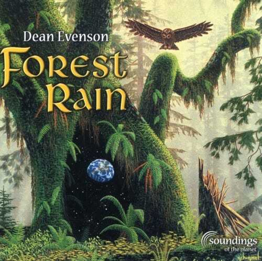 Dean Evenson  Forest Rain  CD