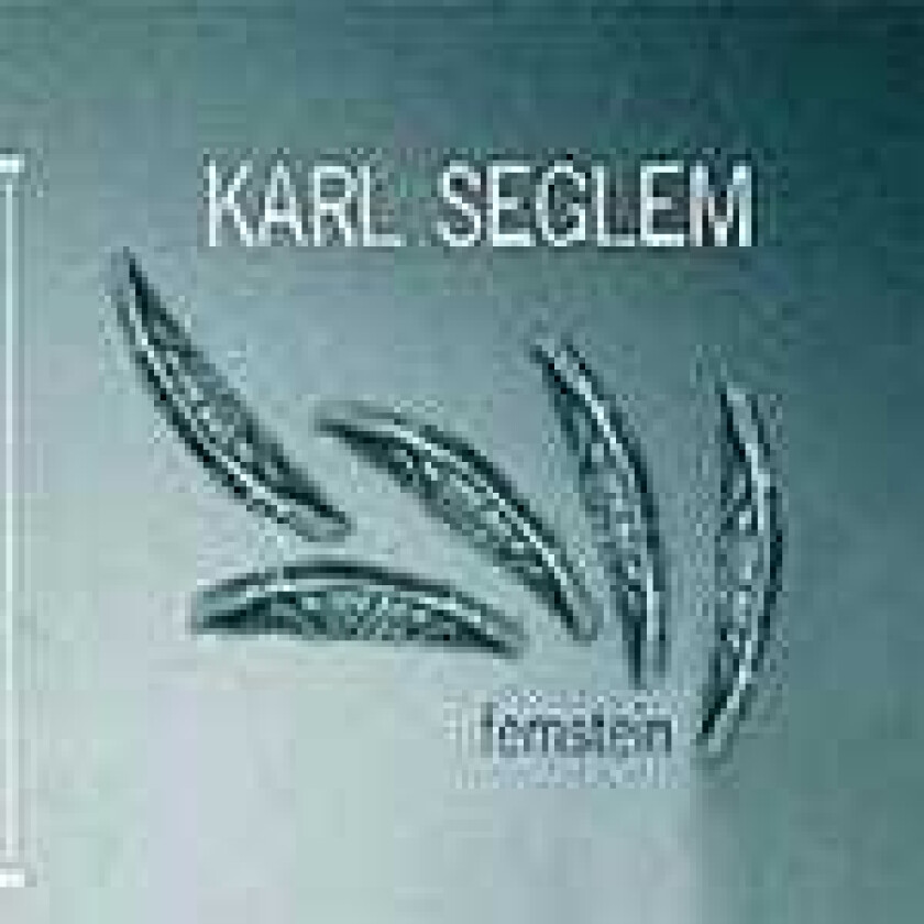 Karl Seglem Femstein CD