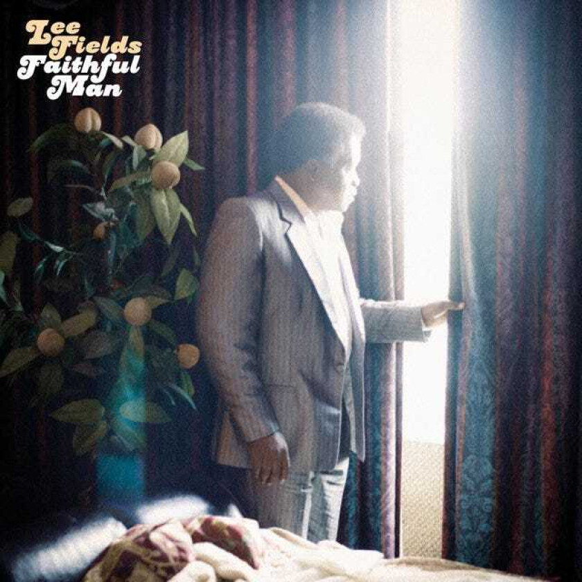 Lee Fields Faithful Man CD