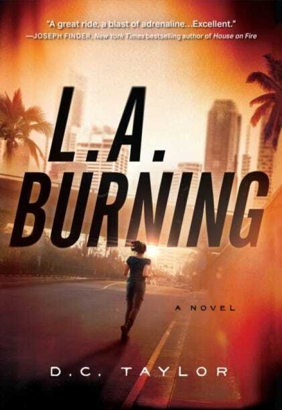 L.a. Burning A Novel