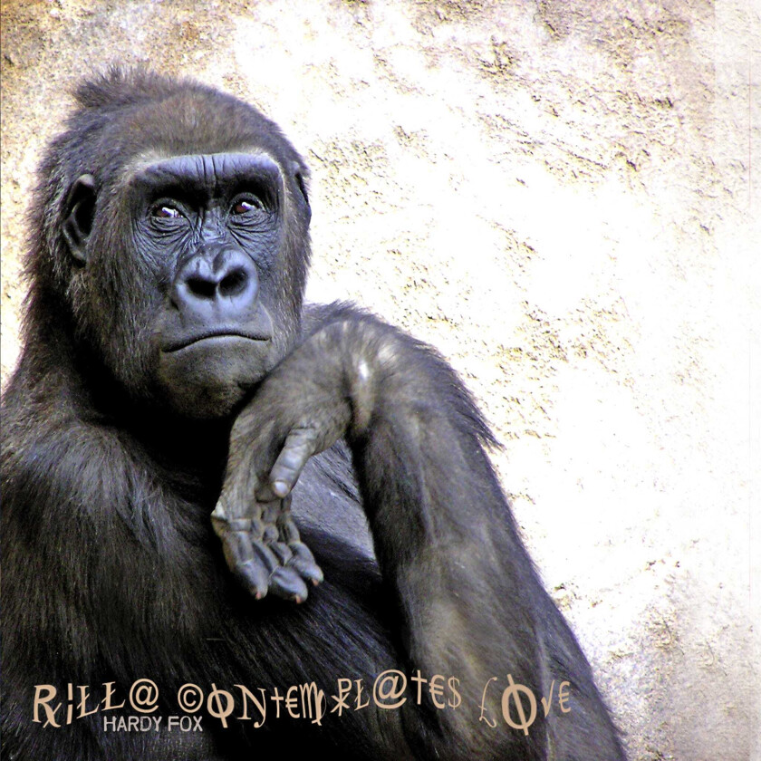 Hardy Fox Rilla Contemplates Love CD