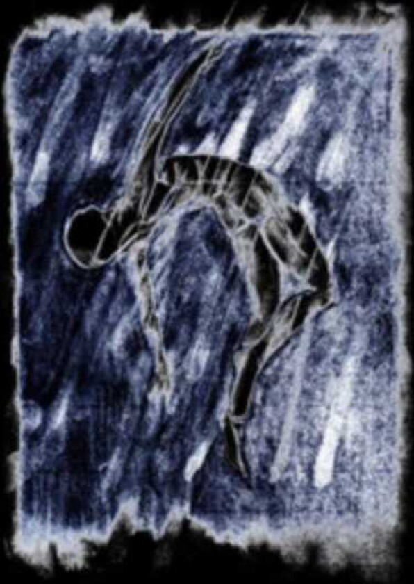 Laster De Verste Verte Is Hier CD