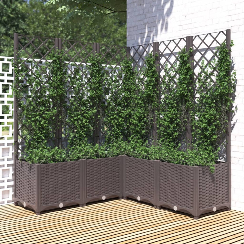 Plantekasse med espalier brun 120x120x136 cm PP