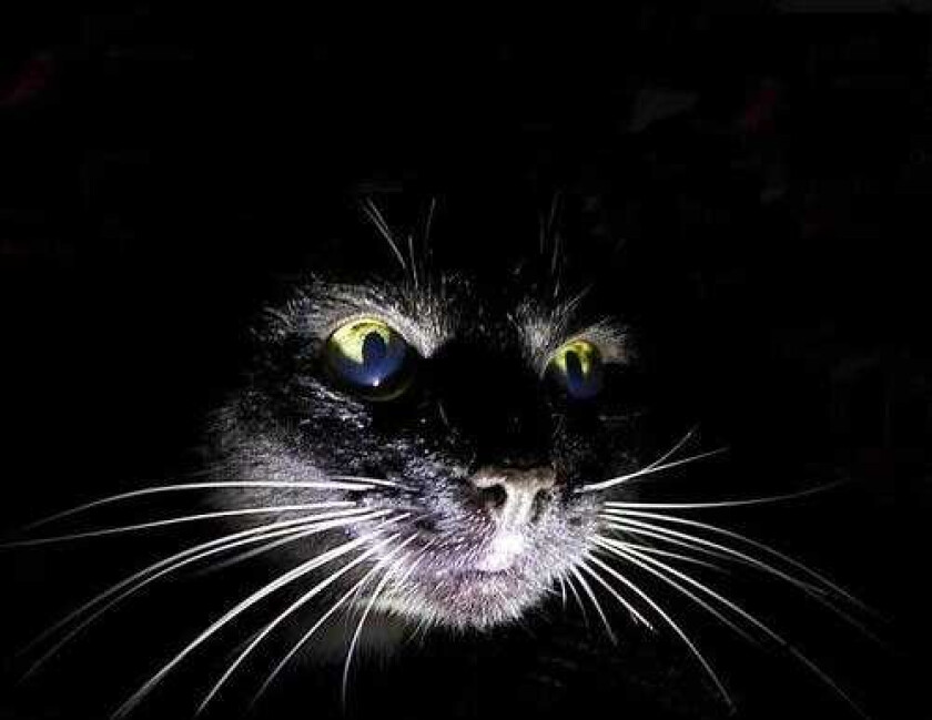 Star Family Star Family LP/Vinyl