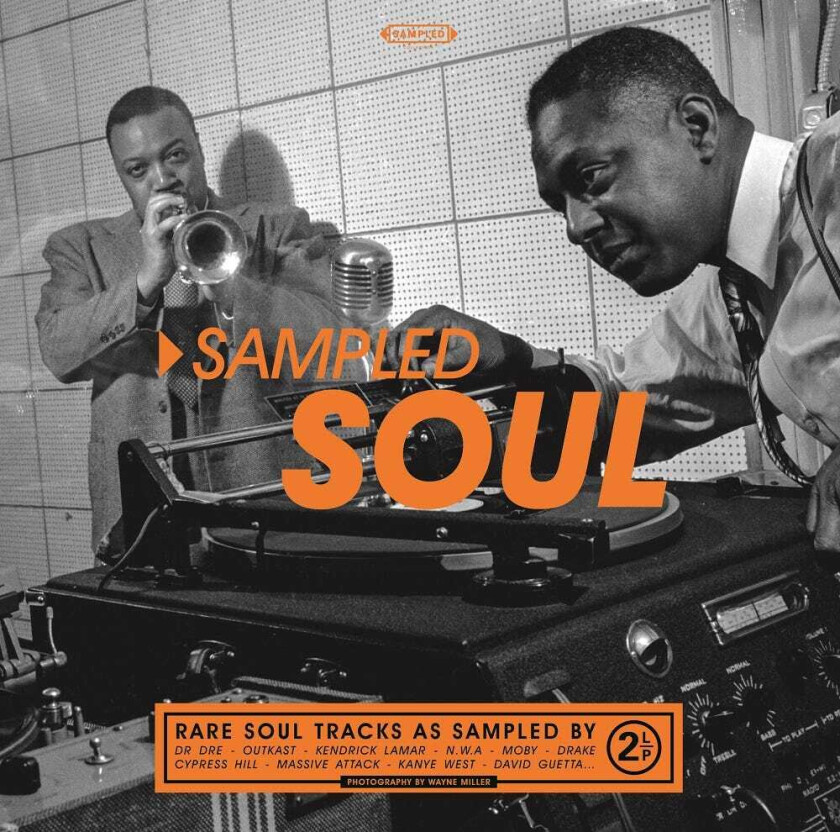 Diverse Soul, Diverse Artister Sampled Soul LP/Vinyl