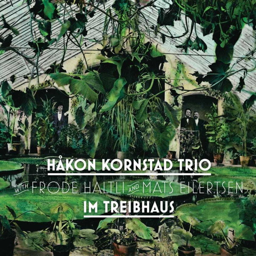 Håkon Kornstad Trio Im Treibhaus LP/Vinyl