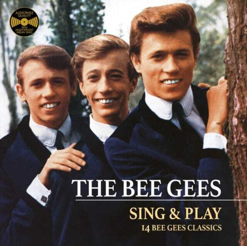 Bee Gees Sing And Play LP/Vinyl