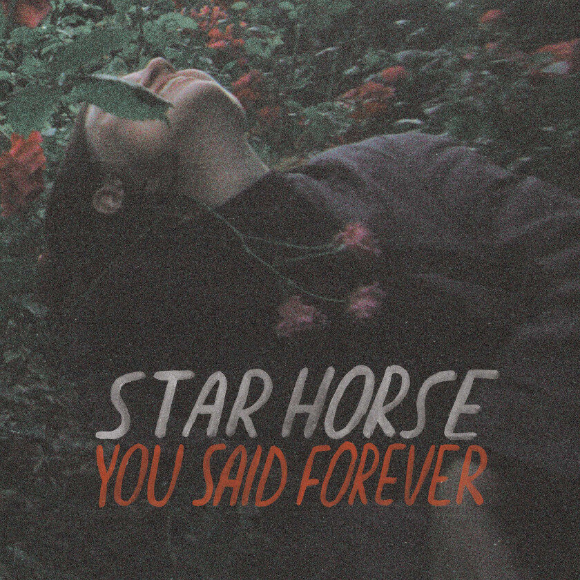 Star Horse You Said Forever LP/Vinyl