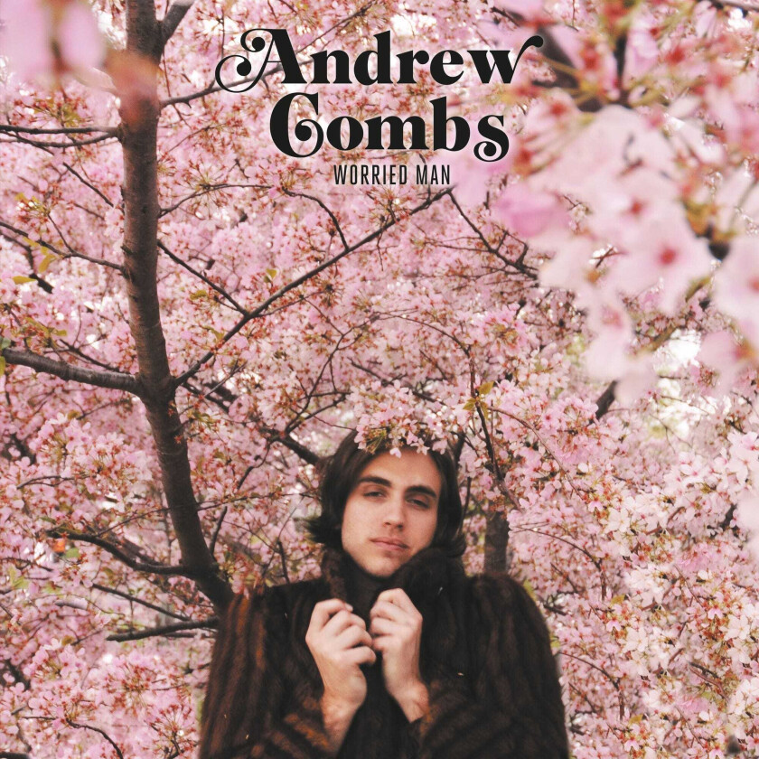 Andrew Combs Worried Man LP/Vinyl