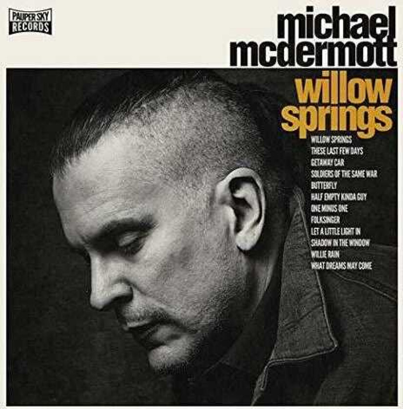 Michael McDermott Willow Springs/Out From Under LP/Vinyl