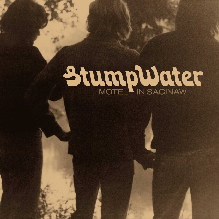 Stumpwater Motel In Saginaw LP/Vinyl