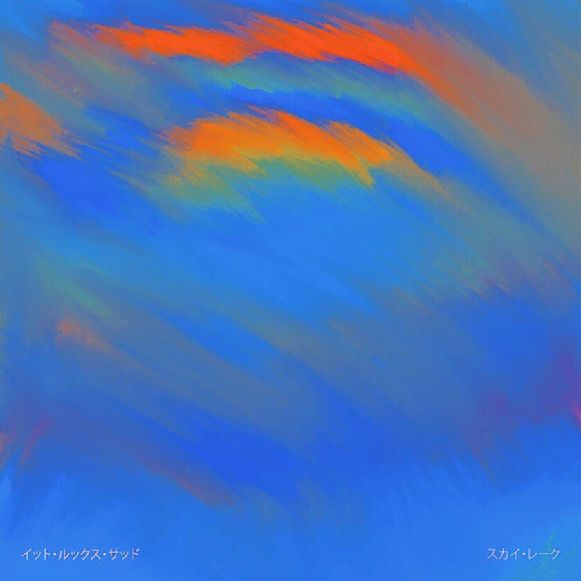 It Looks Sad Sky Lake LP/Vinyl
