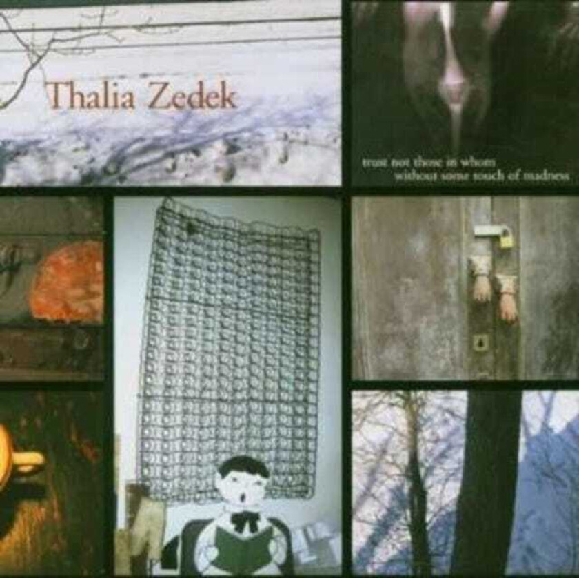 Thalia Zedek Trust Not Those In Whom Without Some Touch Of Madness CD