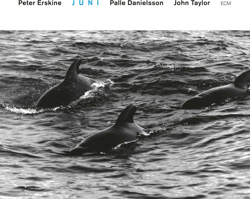 Peter Erskine Juni Touchstones Series CD