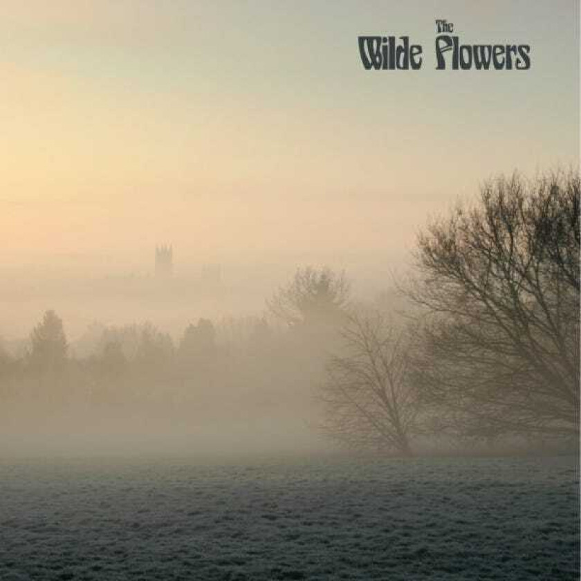 The Wilde Flowers Wilde Flowers LP/Vinyl