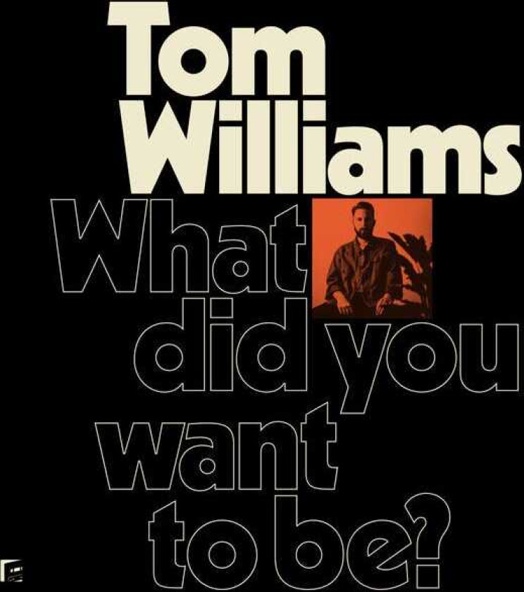 Tom Williams  What Did You Want To Be?  LP/Vinyl