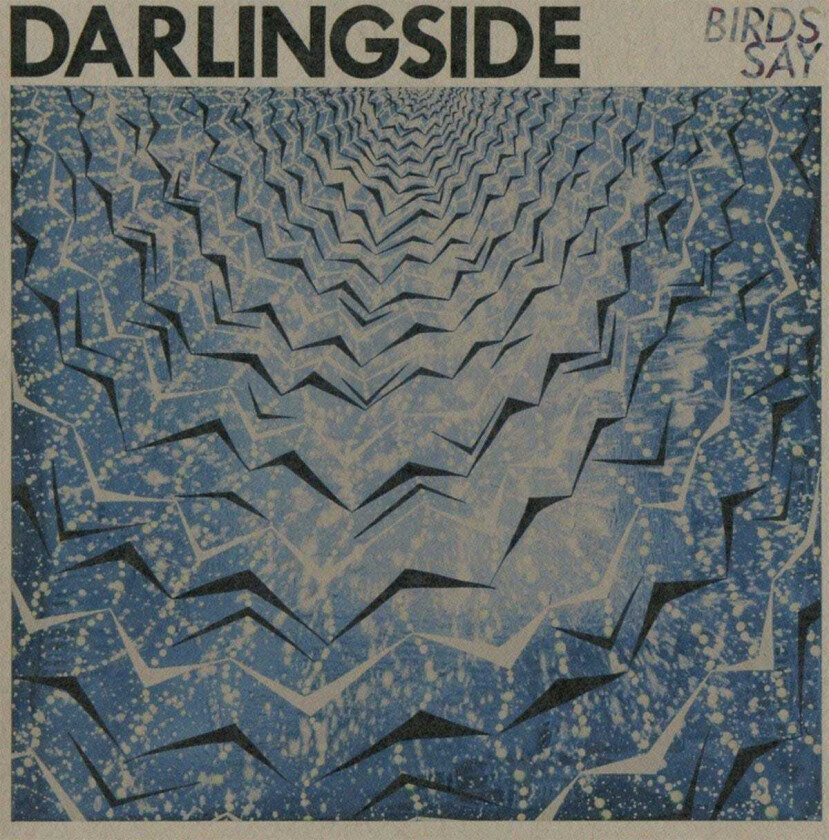 Darlingside : Birds Say CD (2016)