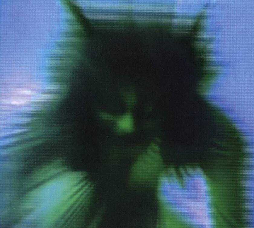 Yves Tumor Safe In The Hands Of Love CD